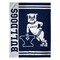 Sleep Squad Yale Bulldogs Handsome Dan Mascot 60” x 80” Raschel Plush College Blanket
